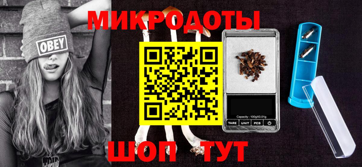 Павловский Посад  Галлюциногенные грибы Cubensis  Вход с VPN 