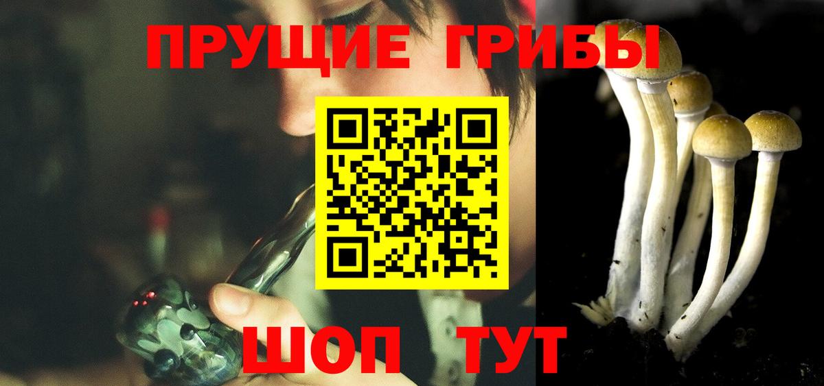 Галлюциногенные грибы MAGIC MUSHROOMS Павловский Посад